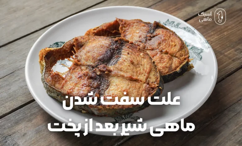 علت سفت شدن ماهی شیر بعد از پخت