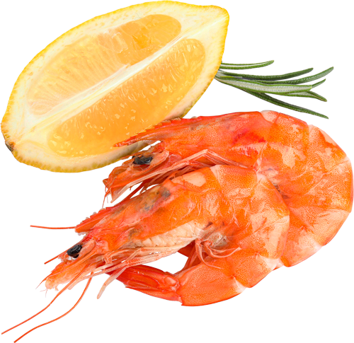 تصویر برای دسته  میگو