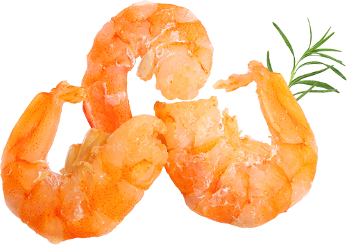 تصویر برای دسته  میگو خشک 