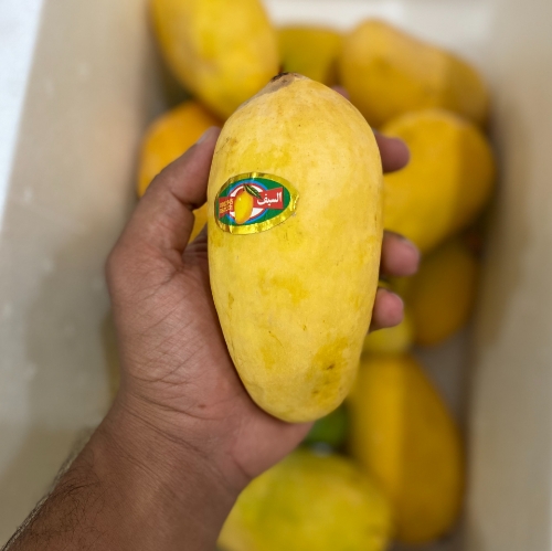 انبه پاکستانی