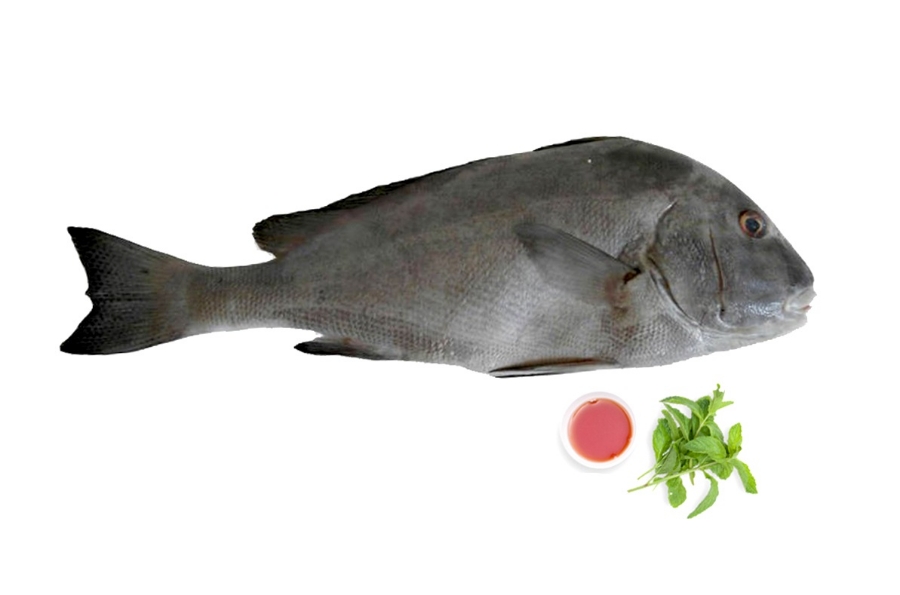 طرز تهیه ماهی خنو به سبک جنوب (مرحله به مرحله)