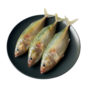 تصویر  ماهی طلال کامل 