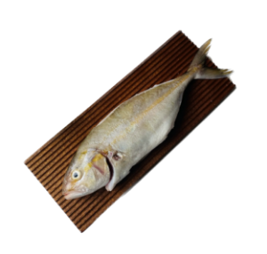 تصویر  ماهی هما پاک شده  و شکم خالی 