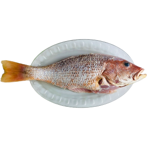 تصویر  ماهی سرخو محلی شکم خالی 