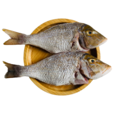 تصویر  ماهی شعری کوچک شکم خالی