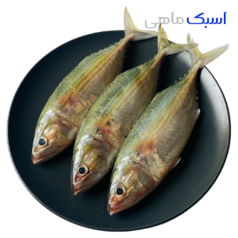 خرید ماهی طلال 