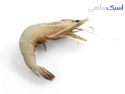 خرید میگو سره 
