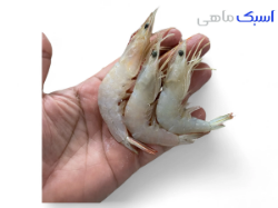 خرید میگو سره 