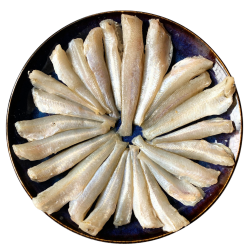 شورت ماهی 