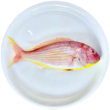 تصویر  ماهی سلطان ابراهیم (کامل/پاک نشده)