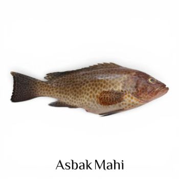 ماهی سمان