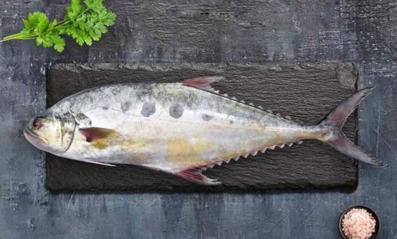 طرز تهیه ماهی مقوا به دو روش طلایی