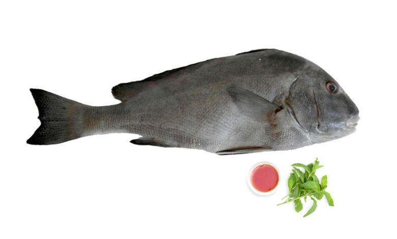 طرز تهیه ماهی خنو