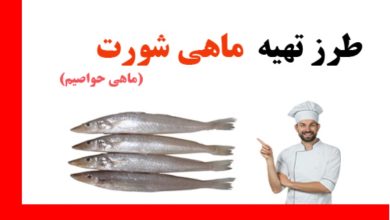 طرز تهیه ماهی شورت به روش های مختلف