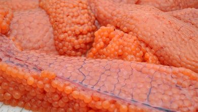 اشپل ماهی چیست؟