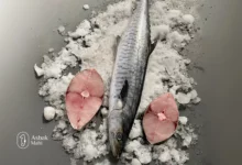 علت سفت شدن ماهی شیر